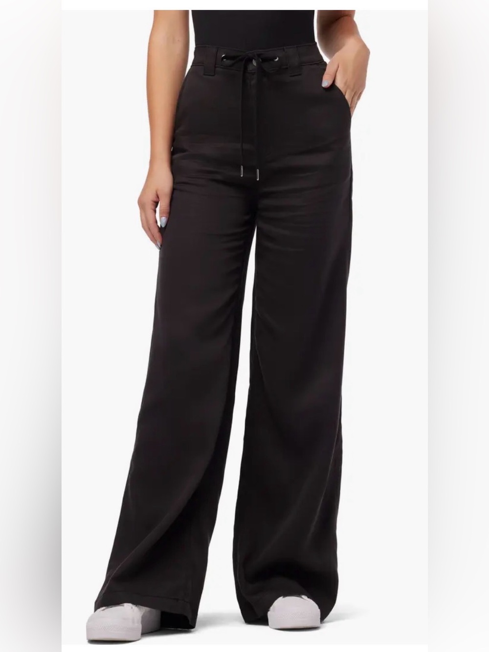 Hudson Jeans High Waist Tie Front Wide Leg Pants 31